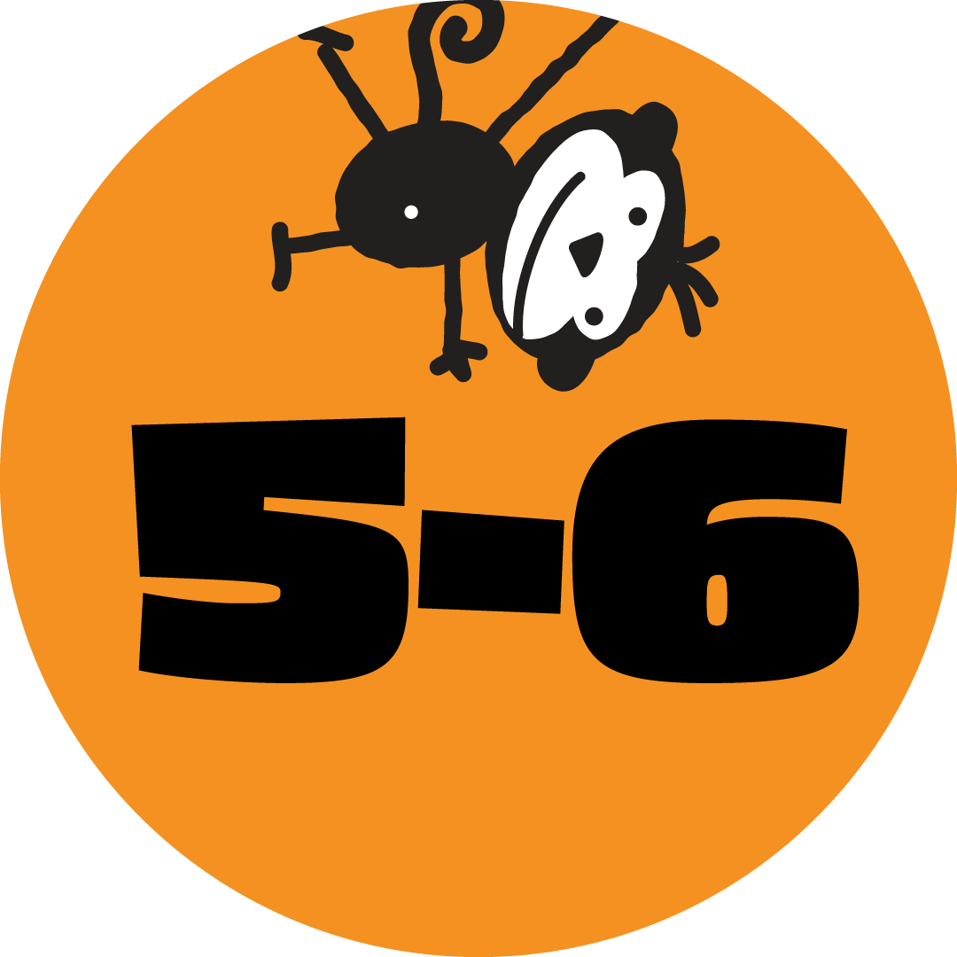 Ages 5-6