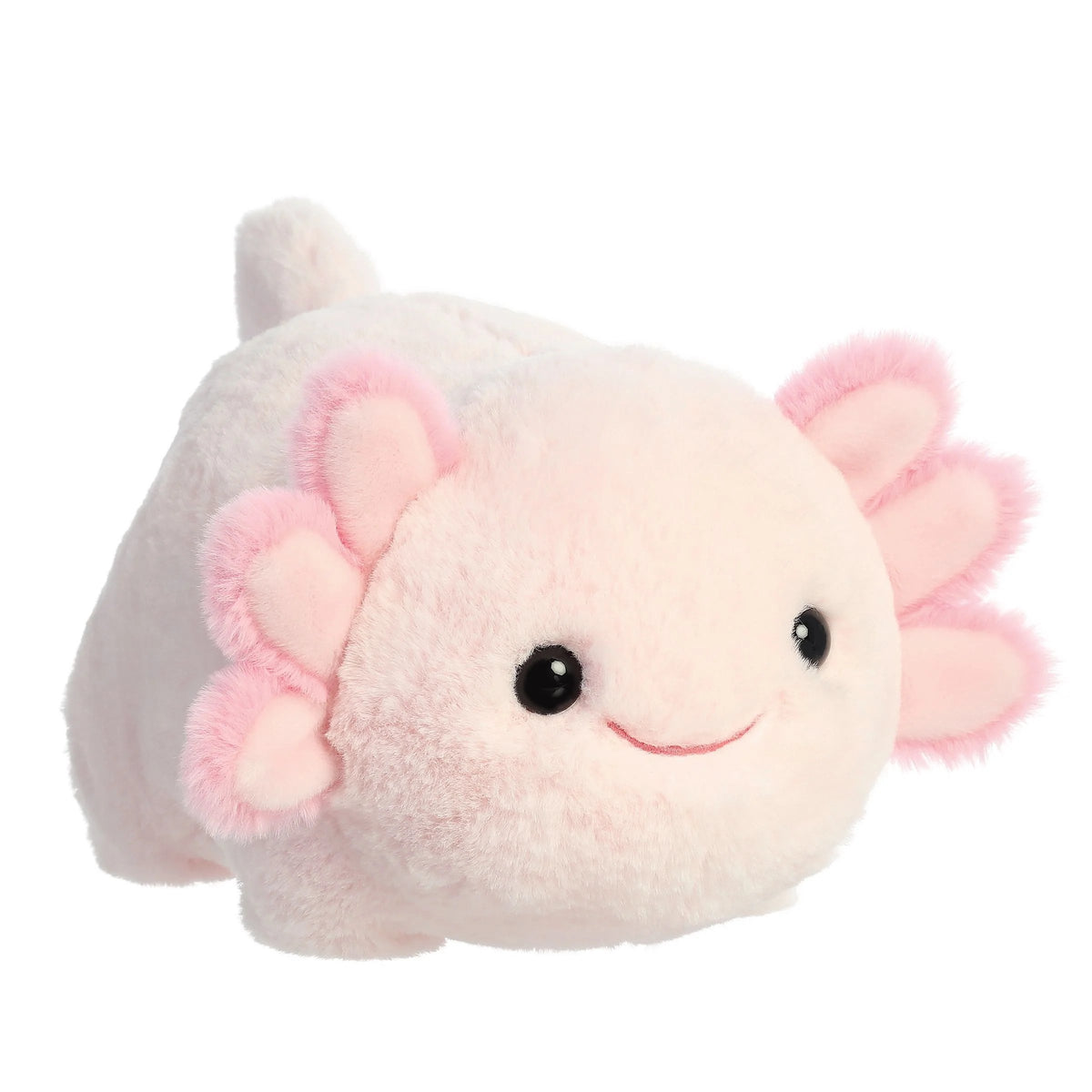 Axel Axolotl