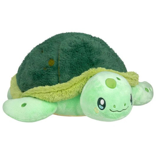 Baby Sea Turtle