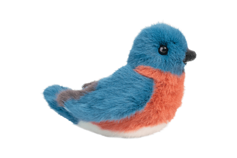 Bertie Bluebird