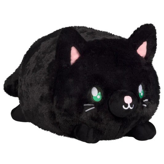 Black Kitty