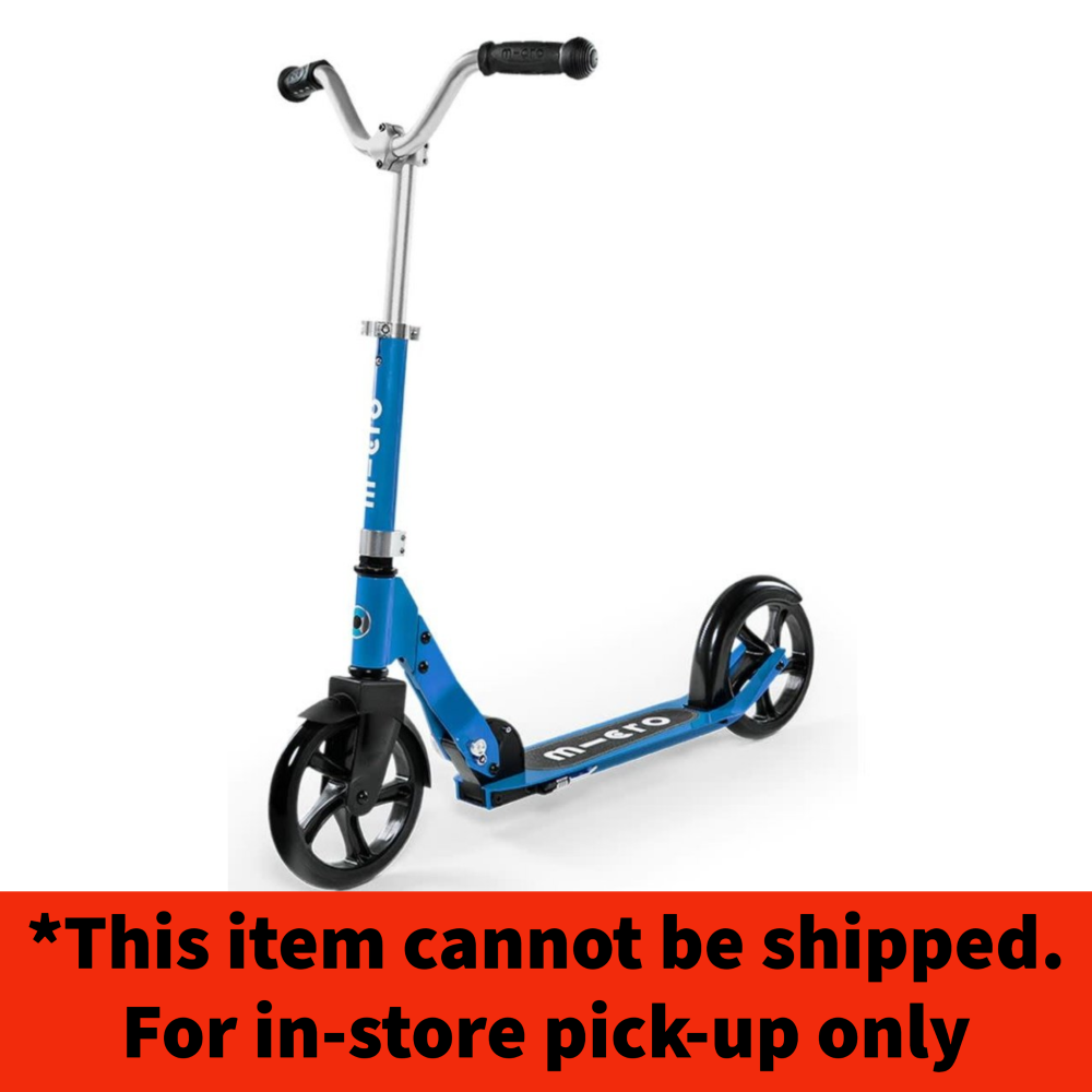 Blue Micro Cruiser Scooter