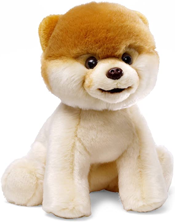 Boo, The World's Cutest Dog