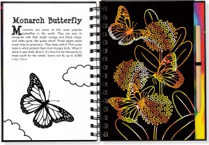 Butterflies Scratch & Sketch