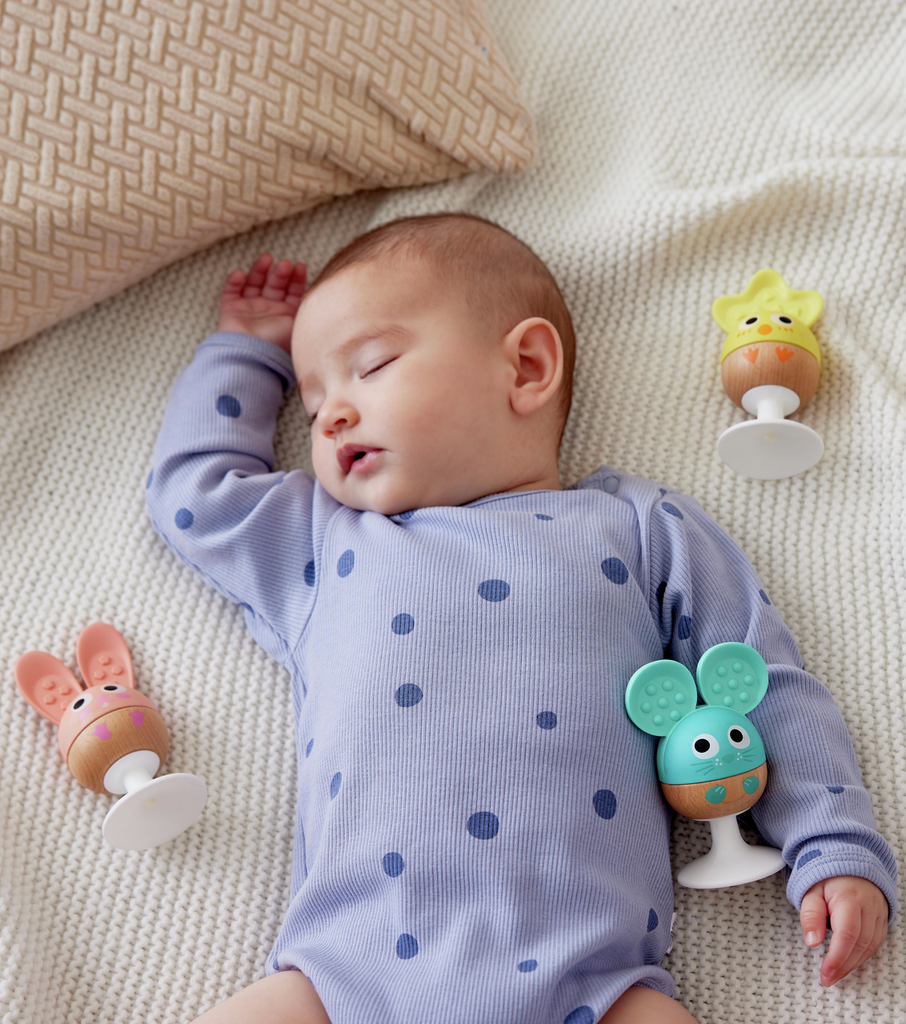 Cheery Critter Rattle And Teether Set