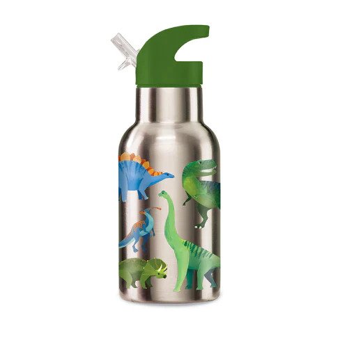 Dino World Stainless Steel Water Bottle