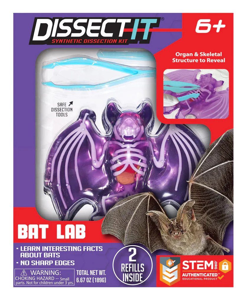 Dissect It- Bat Lab