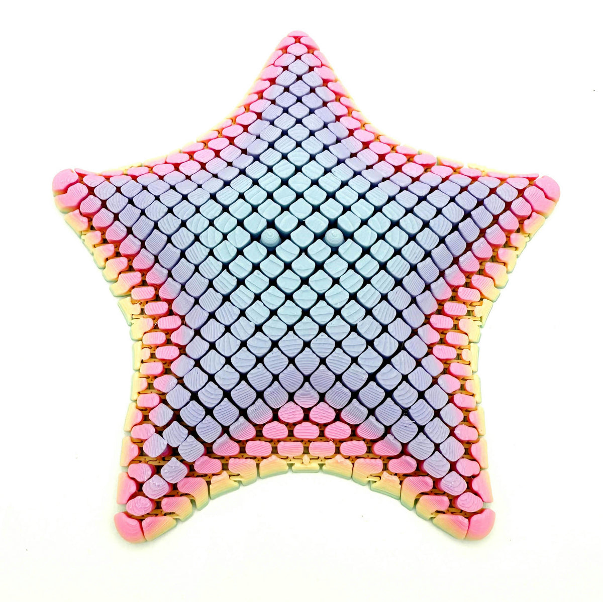 Floppy Starfish Fidget