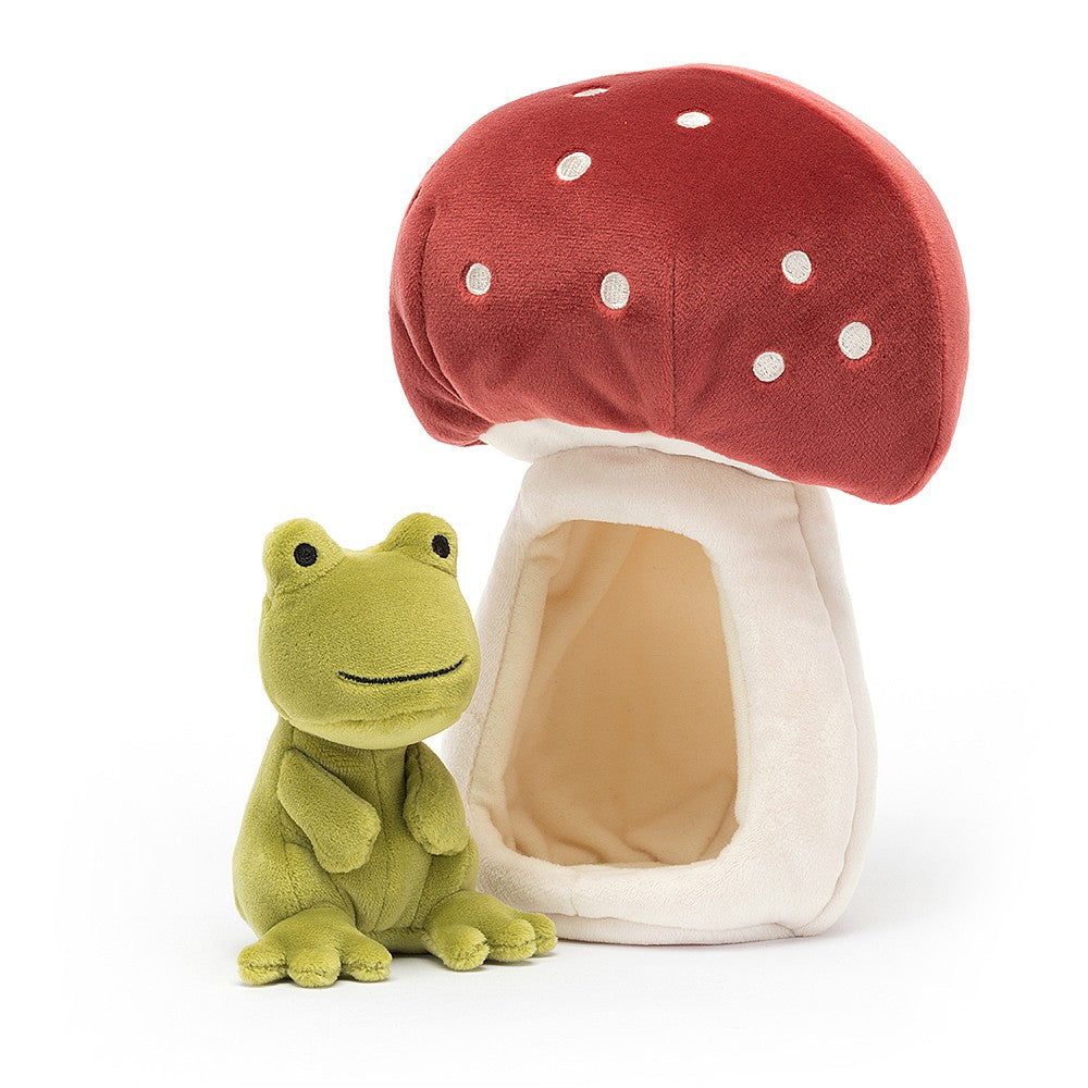 Forest Fauna Frog in Mushroom