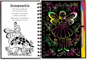Garden Fairies Scratch & Sketch