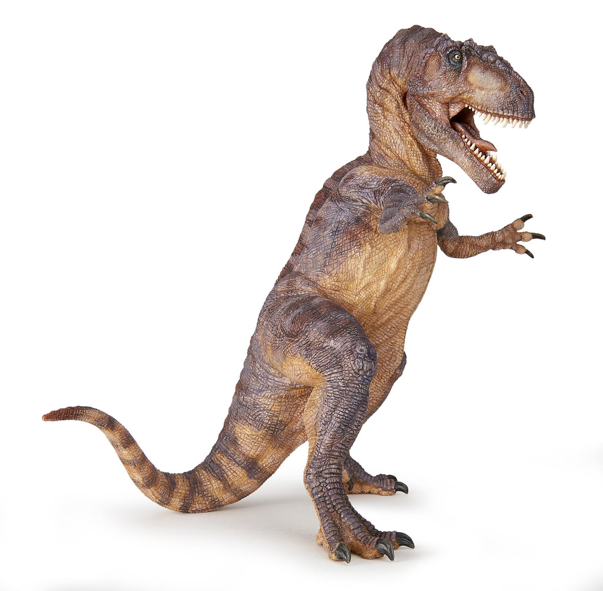 Gigantosaurus