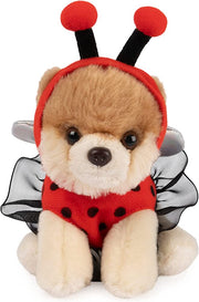 Ladybug Boo