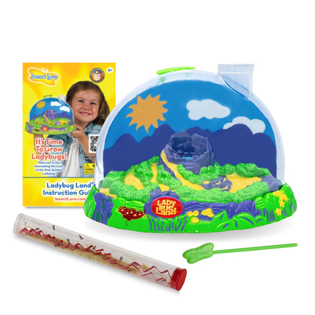 Ladybug Land