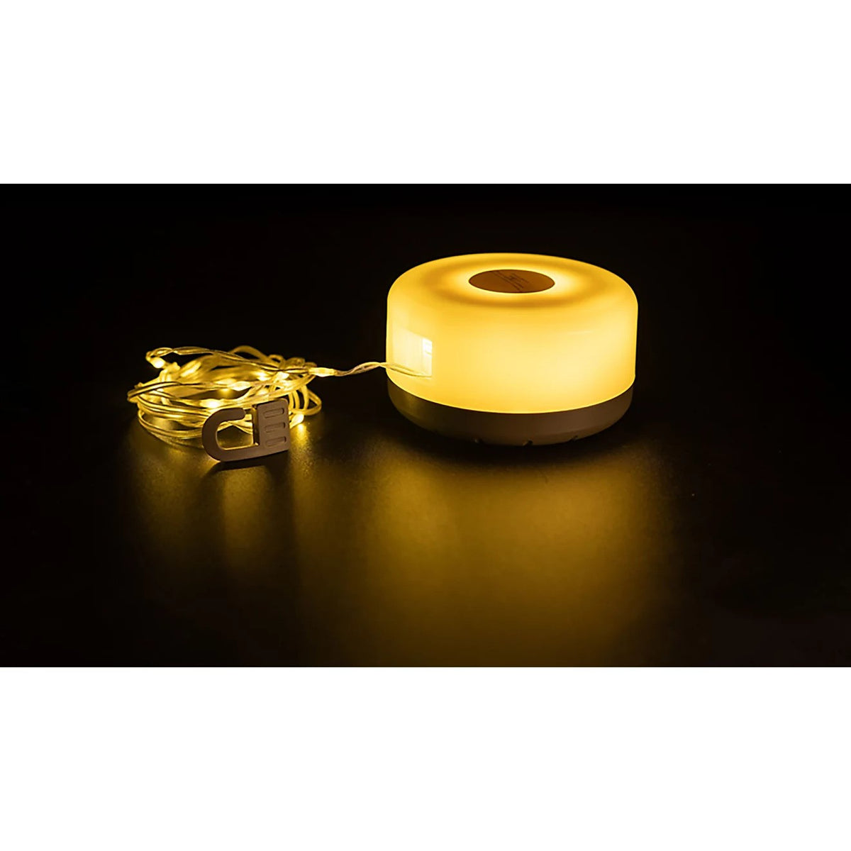 Lantern Reel Lights