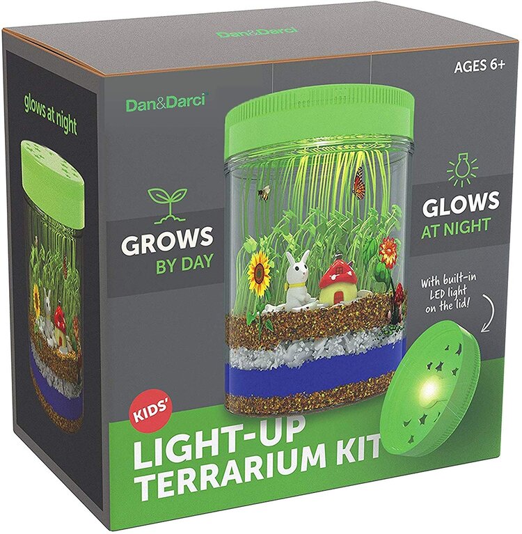 Light-Up Terrarium Kit