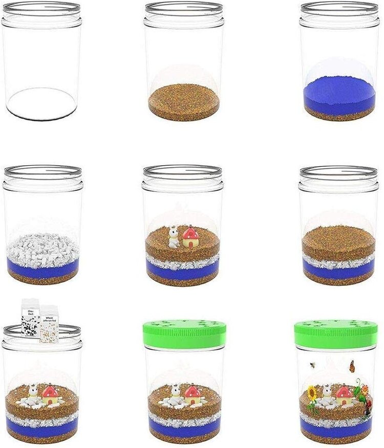 Light-Up Terrarium Kit