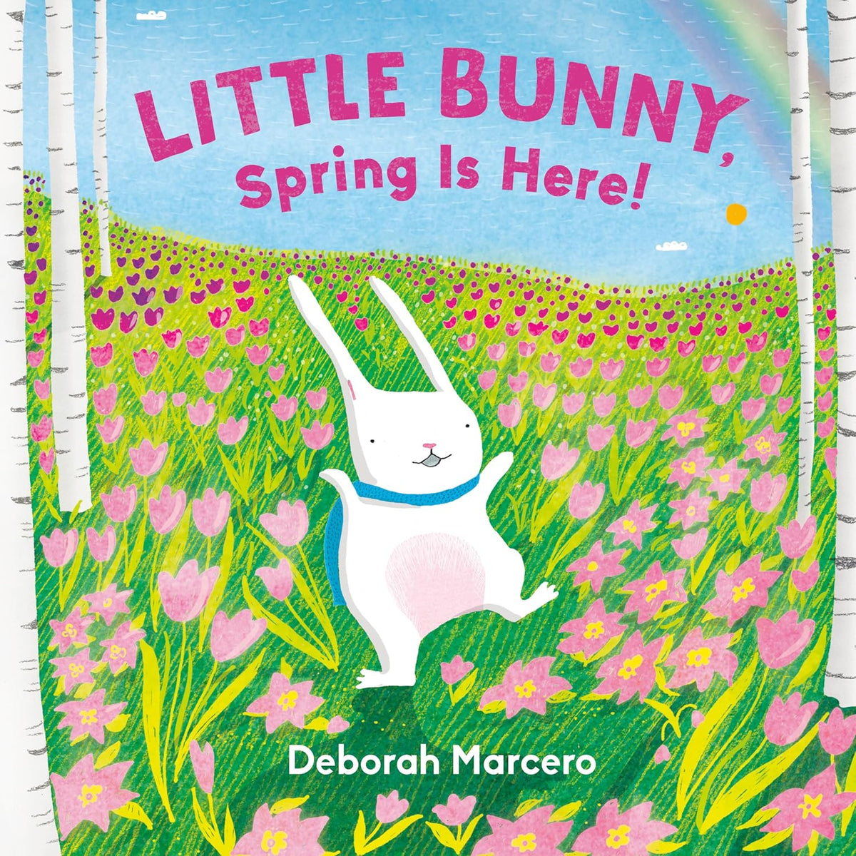Little Bunny Spring is Here! Board Book