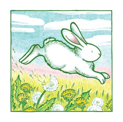 Little White Rabbit Board Book