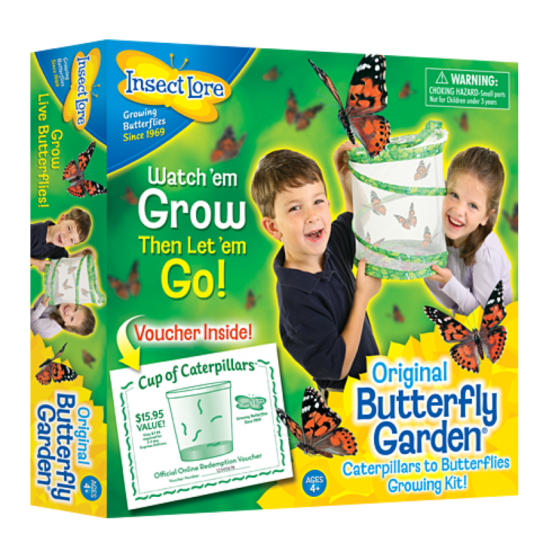Live Butterfly Garden