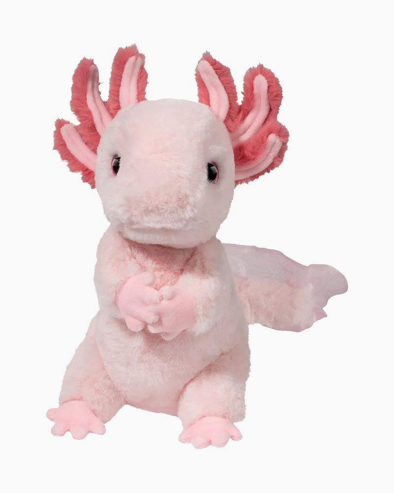 Luisa Axolotl