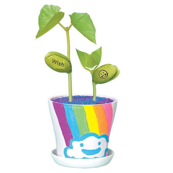 Magic Bean Garden