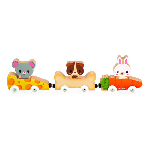 Magnetic Pet Cars