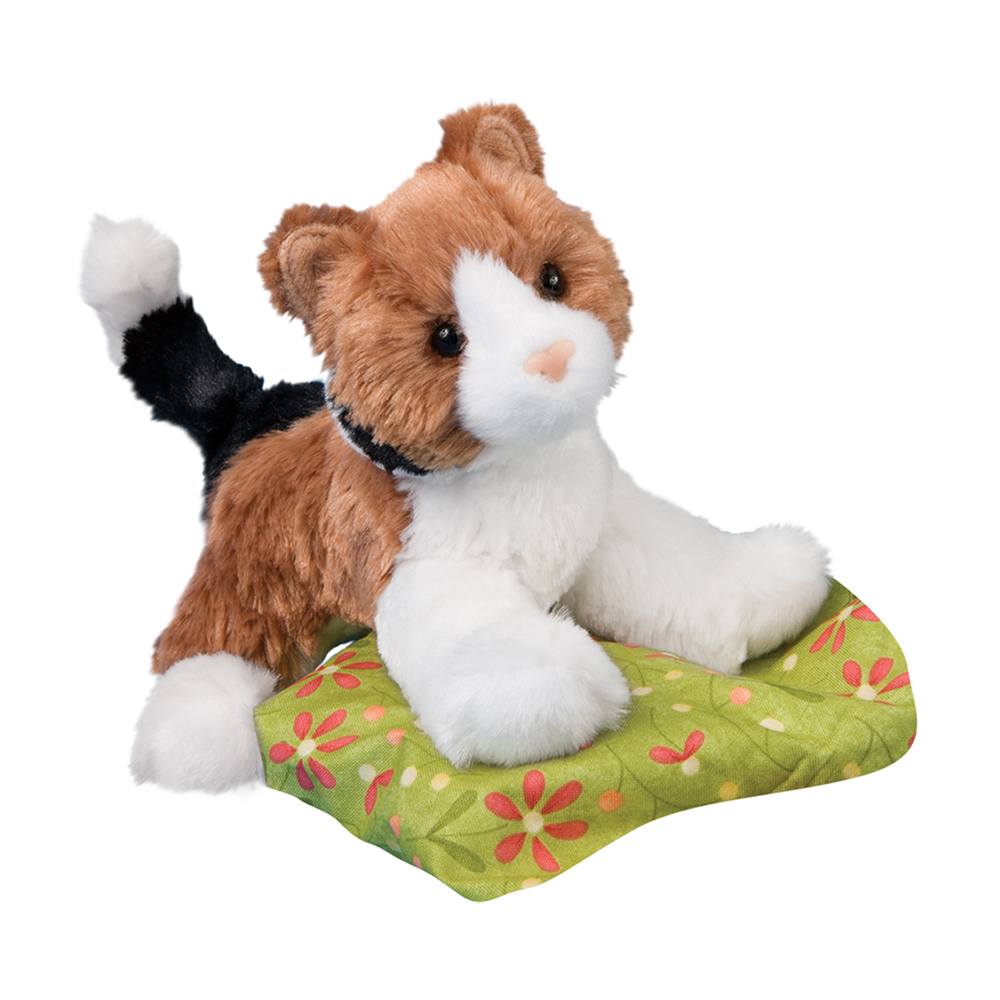 Maps Calico Cat