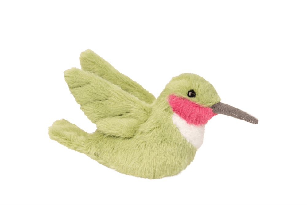 Nectar Hummingbird