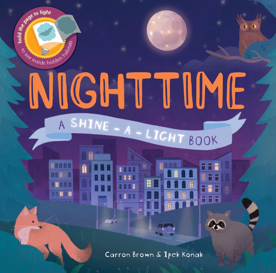 Nighttime A Shine-A-Light Book