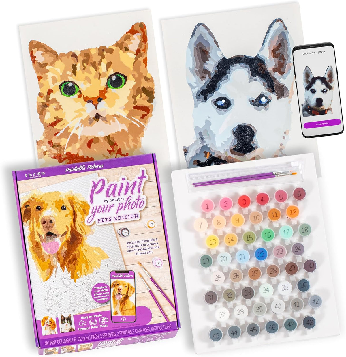 Paint Your Photo by Number: Pets Edition