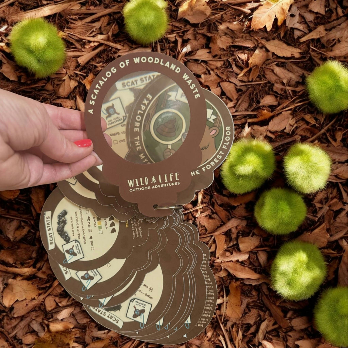 Poo Clues: A Scatalog of Woodland Waste