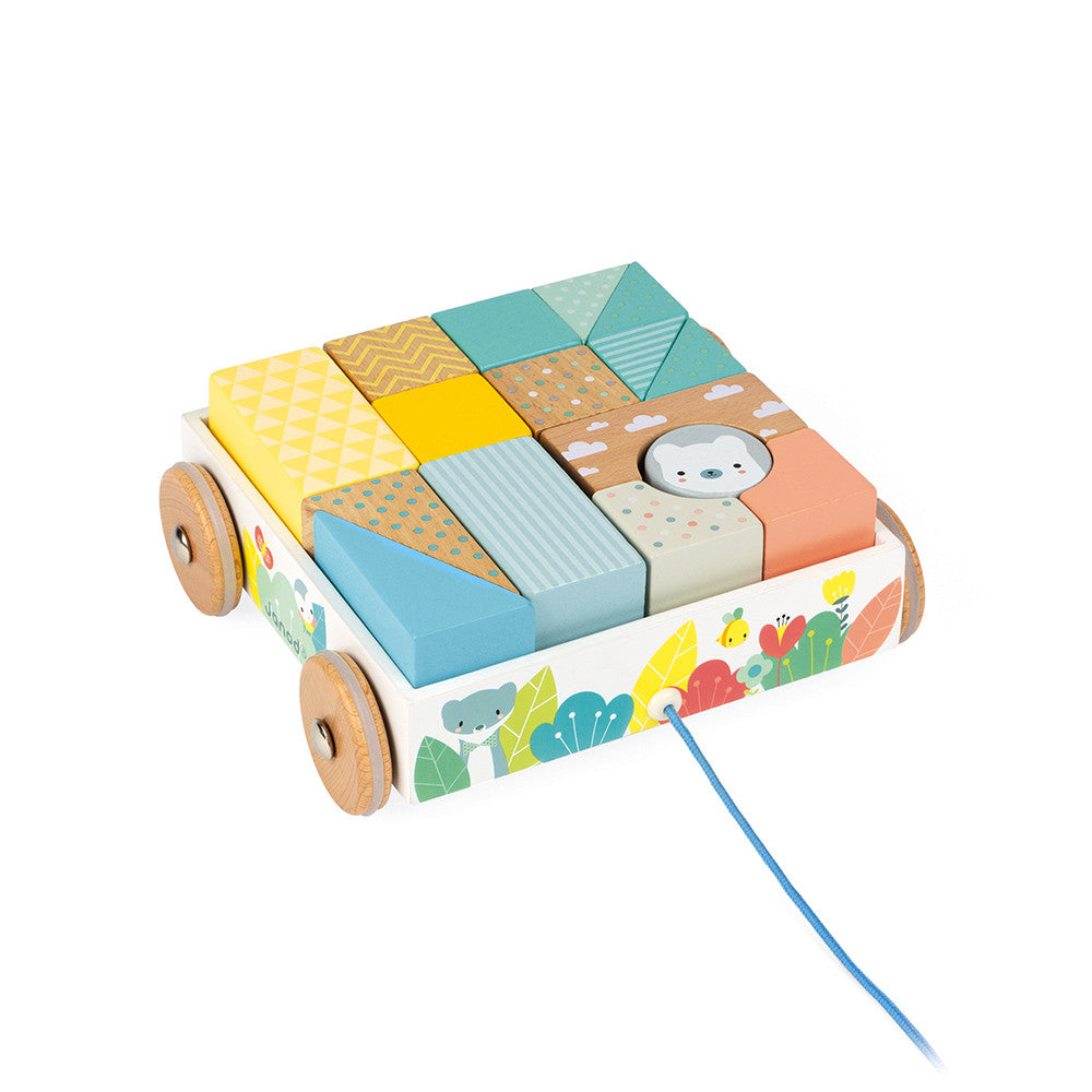 Pure Pull-Along Blocks Cart
