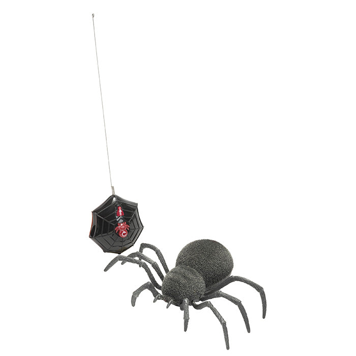 RC Spider