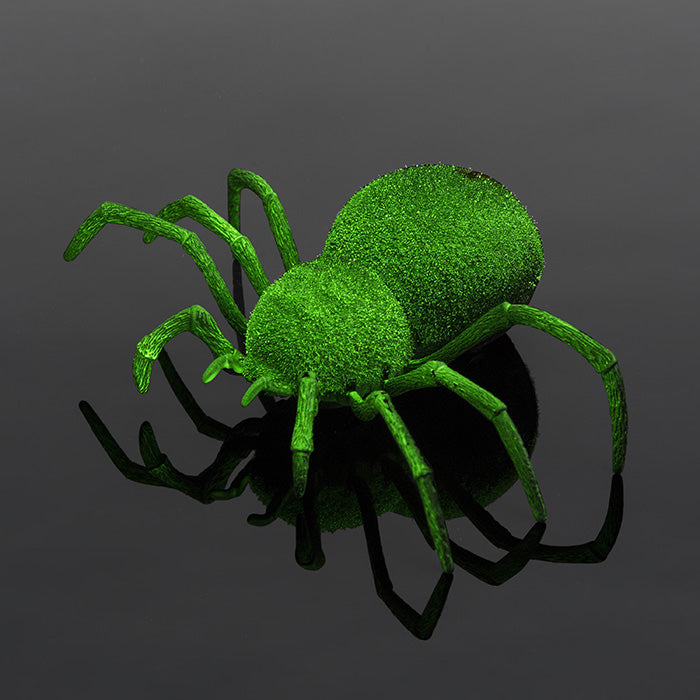 RC Spider