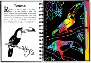 Rain Forest Scratch & Sketch