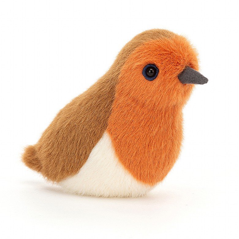 Robin Birdling