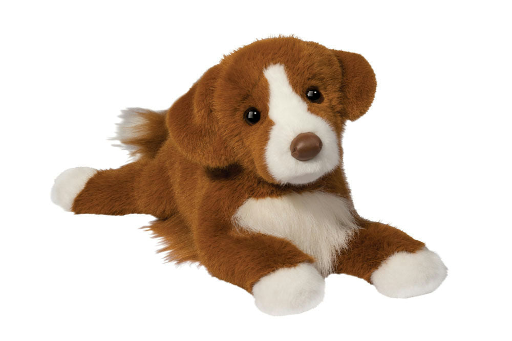 Rush Duck Tolling Retriever Dog