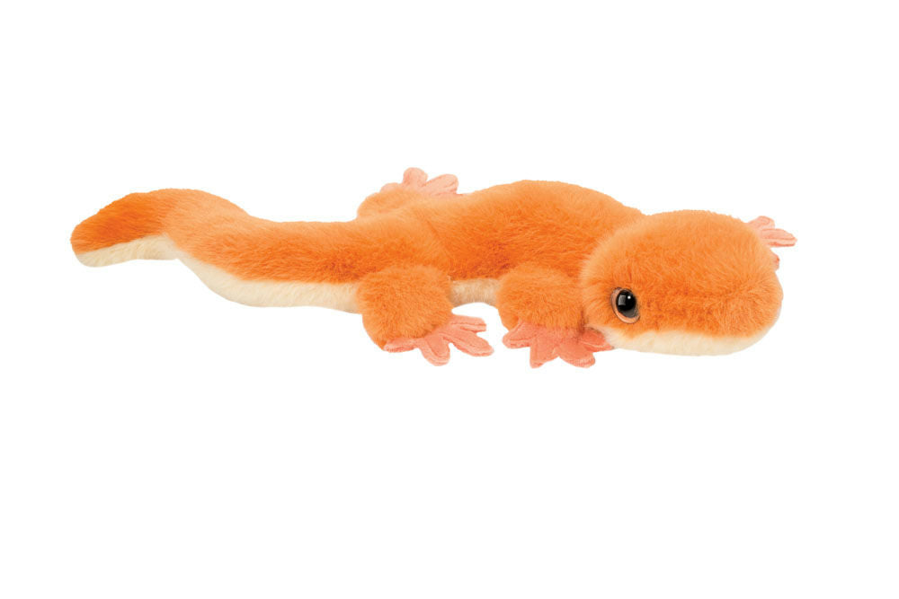 Sam Salamander