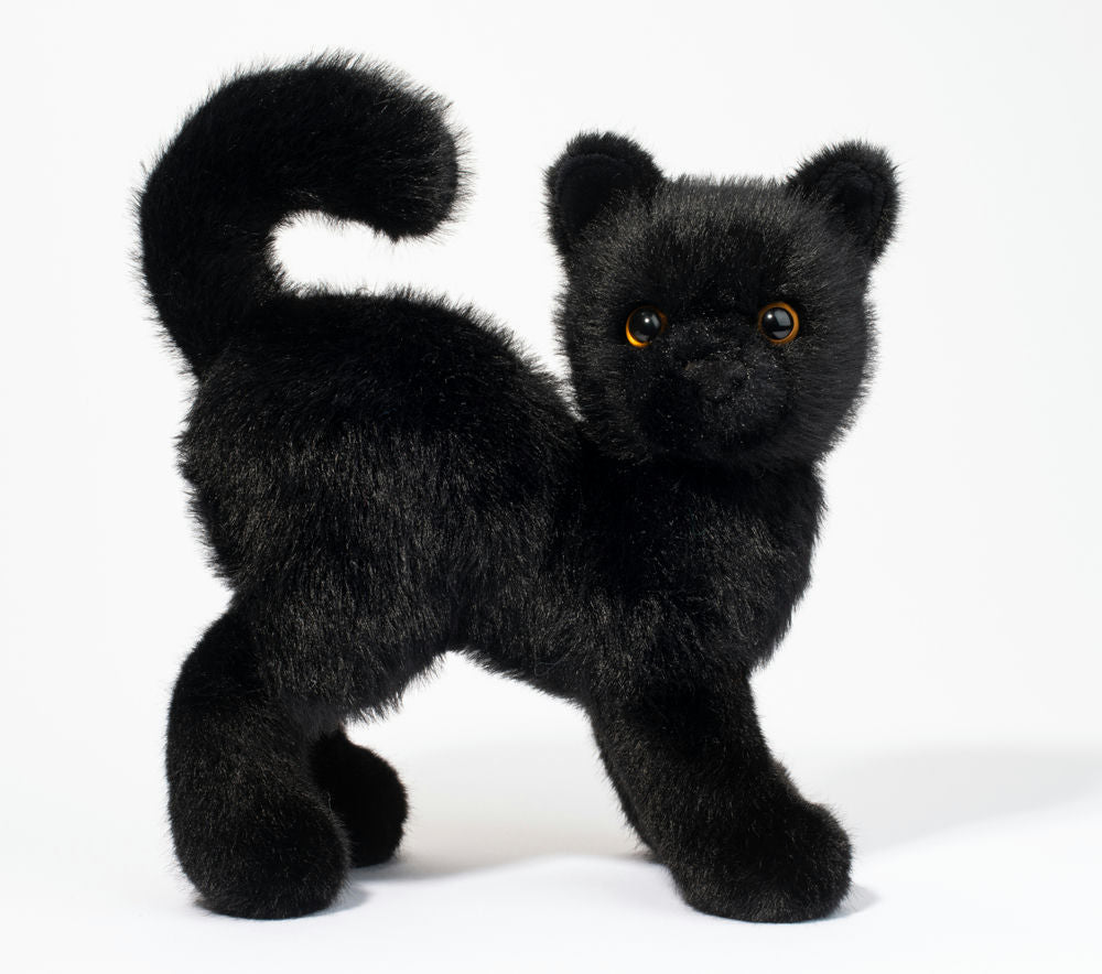 Scaredy Black Cat