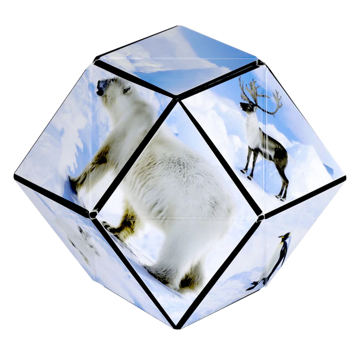 Shashibo Arctic Shape Shifting Cube