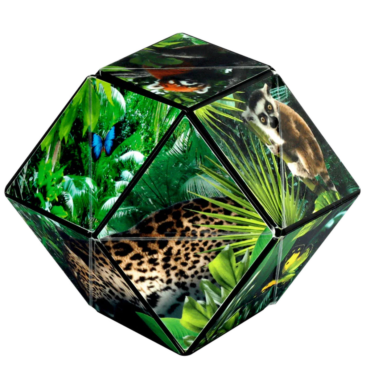 Shashibo Jungle Shape Shifting Cube