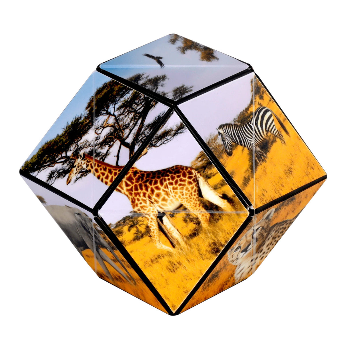 Shashibo Savanna Shape Shifting Cube