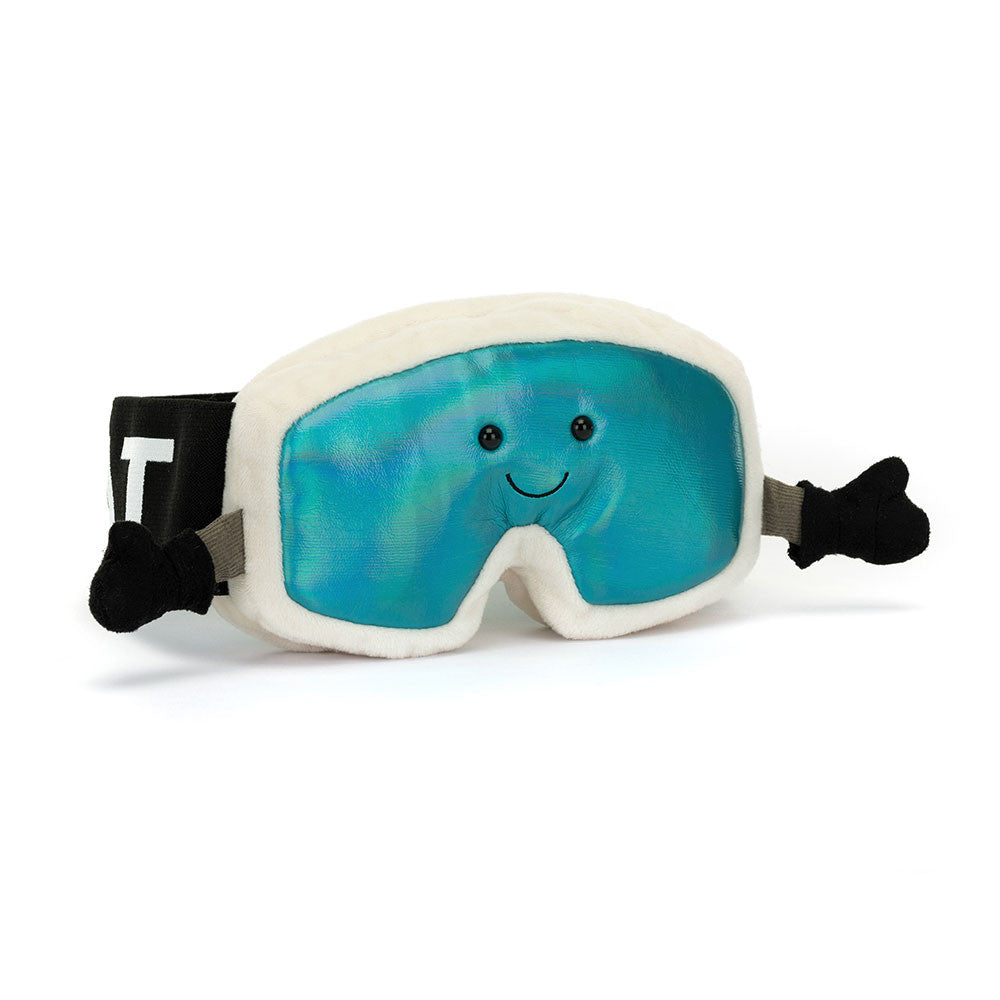 Ski Goggles