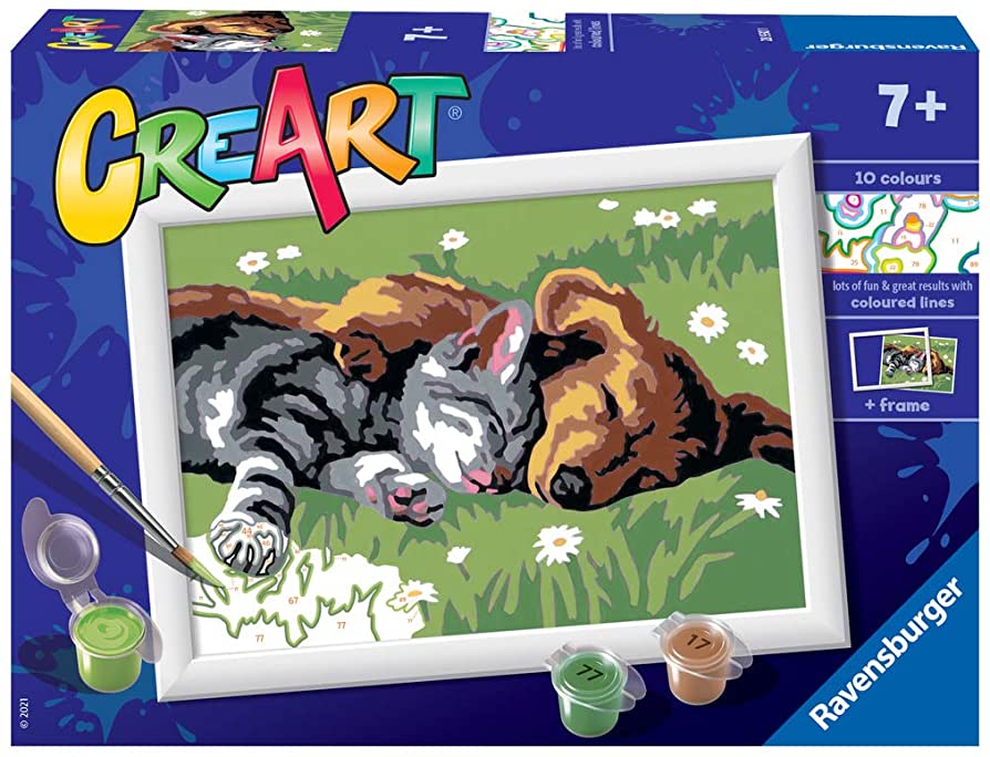 Sleeping Cat & Dog Paint By Number