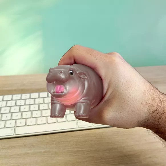 Squishmy Hippo Moo Deng