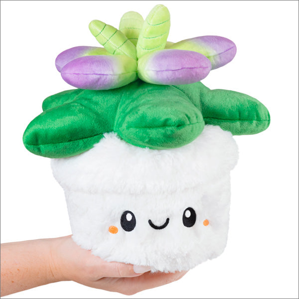 Succulent Pillow
