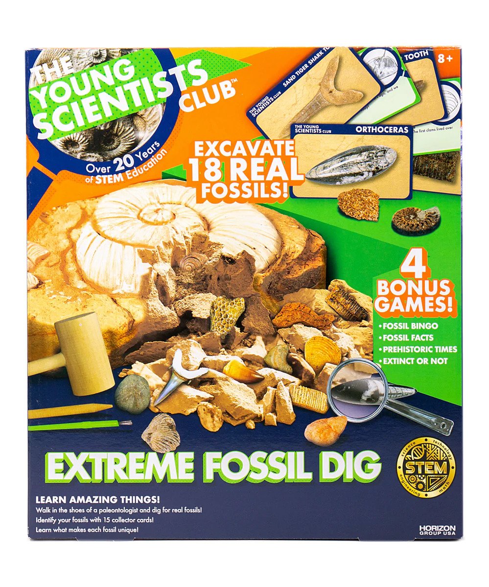 The Young Scientist Club Extreme Fossil Dig