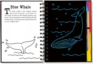 Under the Sea Scratch & Sketch