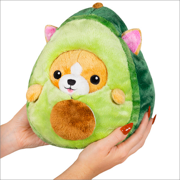 Undercover Corgi in Avocado Squishable