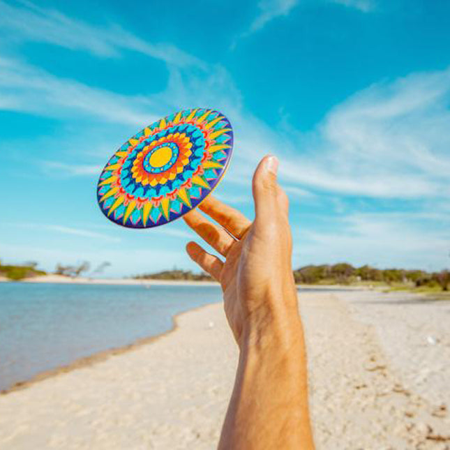 Wingman Disc